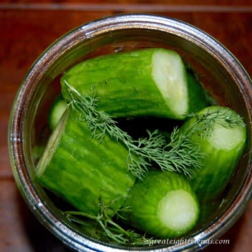 Classic Dill Pickles...a healthy snack from your own jar! Great Eight