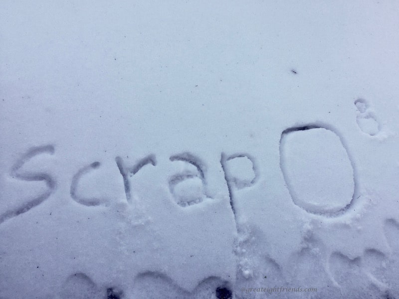 Scrapbooking Scrap Snow
