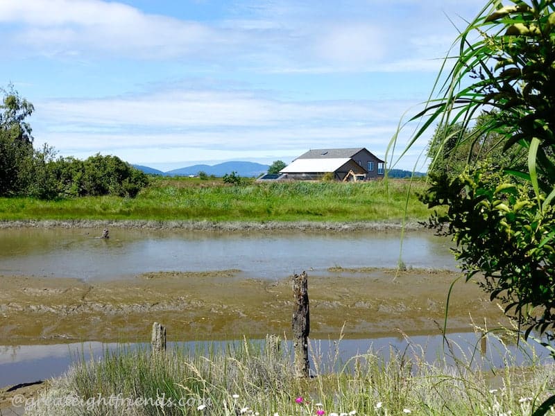 Edison Slough