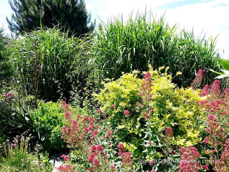 Edison Slough Food Garden