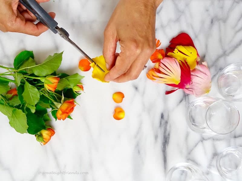 Hands cutting edible flowers.