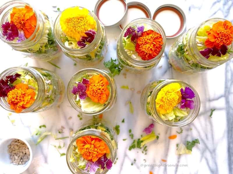 Overhead shot of 8 Psychedelic Salads in jars.