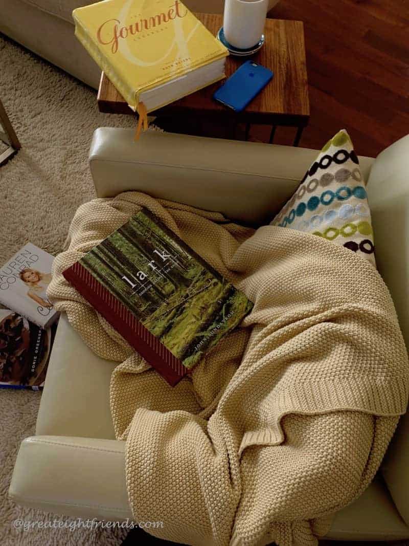 A big comfy chair with a throw and several cookbooks strewn around.