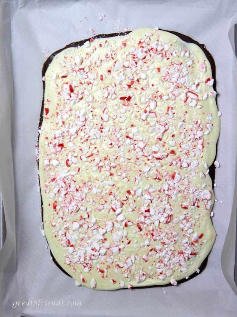 Dark chocolate peppermint bark with white chocolate in one piece before being broken into smaller pieces.