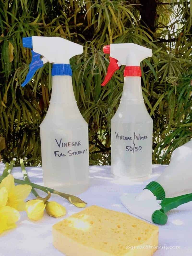 Spring into Clean Using Vinegar!