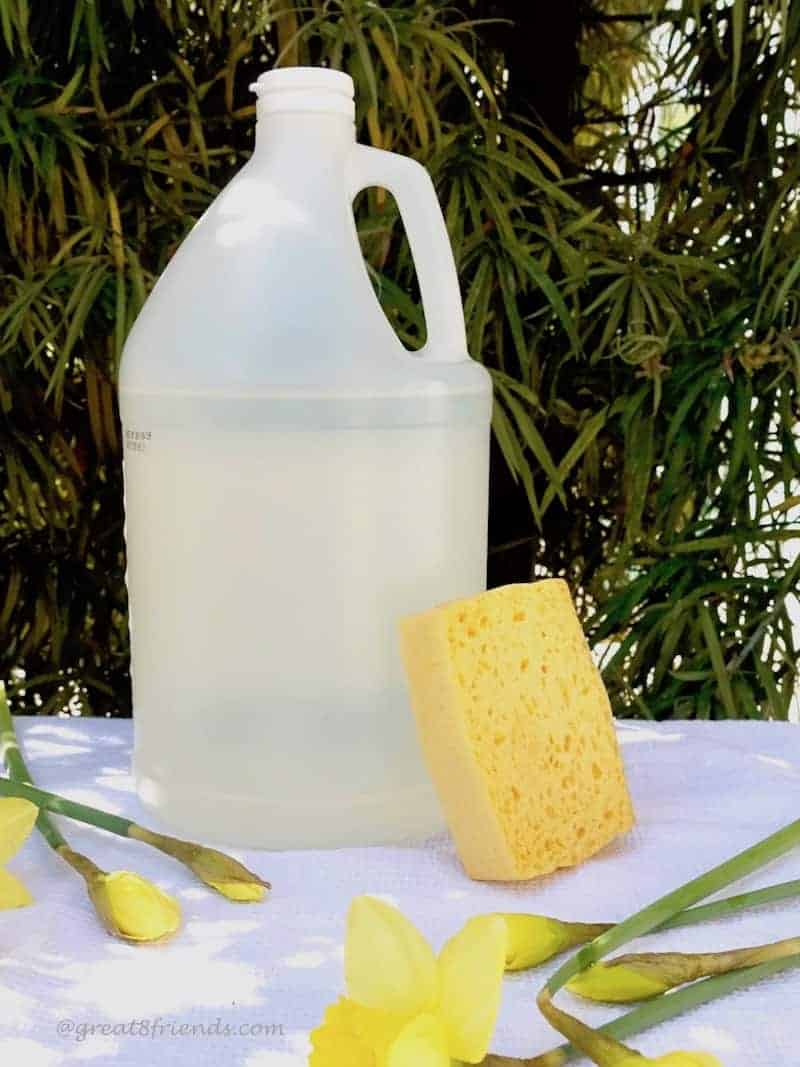 Spring into Clean Using Vinegar!