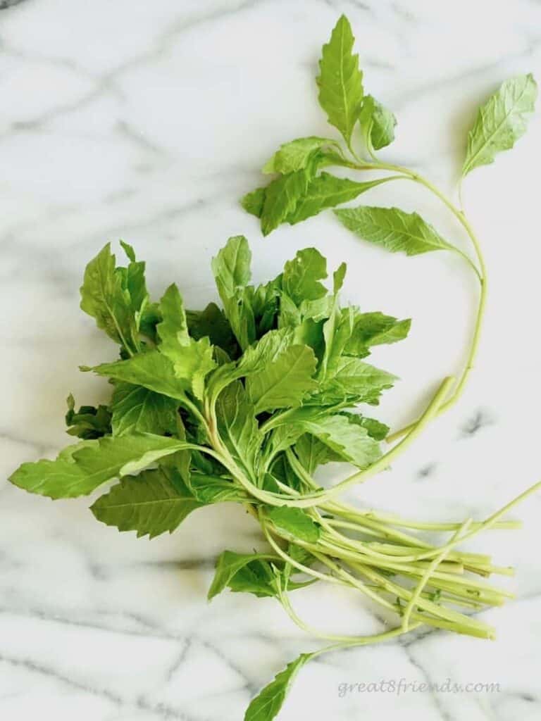 Marta's Homemade Refried Beans Recipe Great Eight Friends