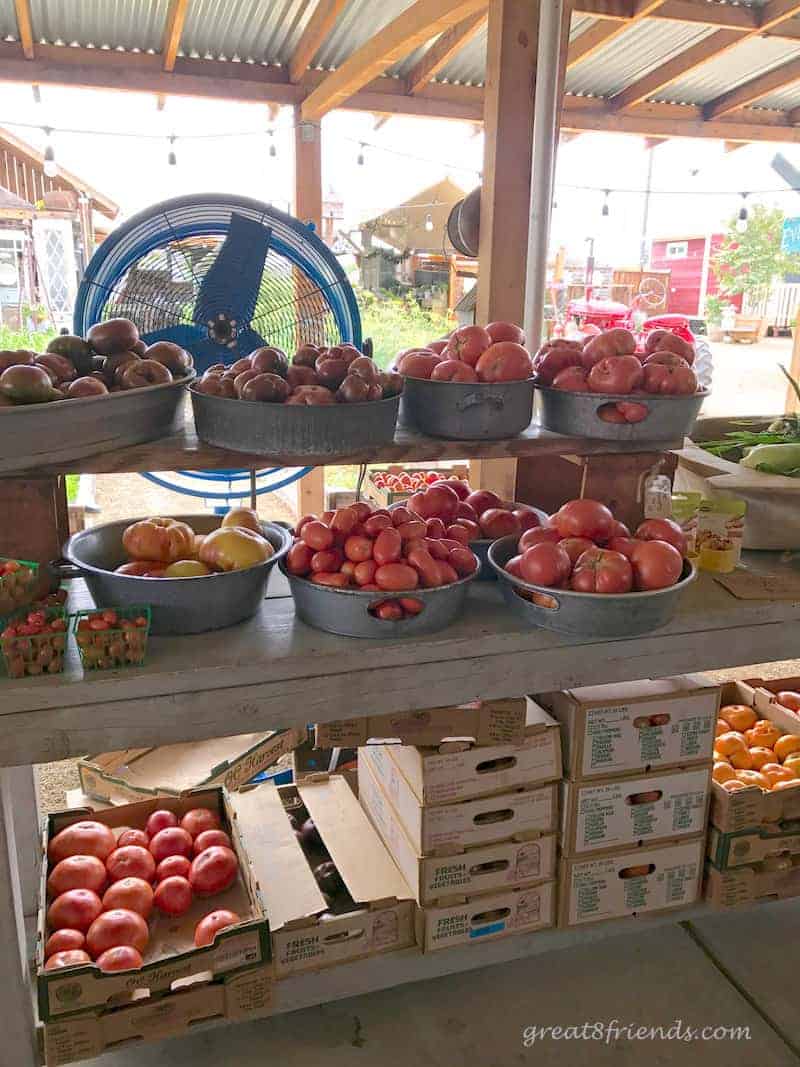 Fresh vegetables at Manassero farms in silver tin round bins.