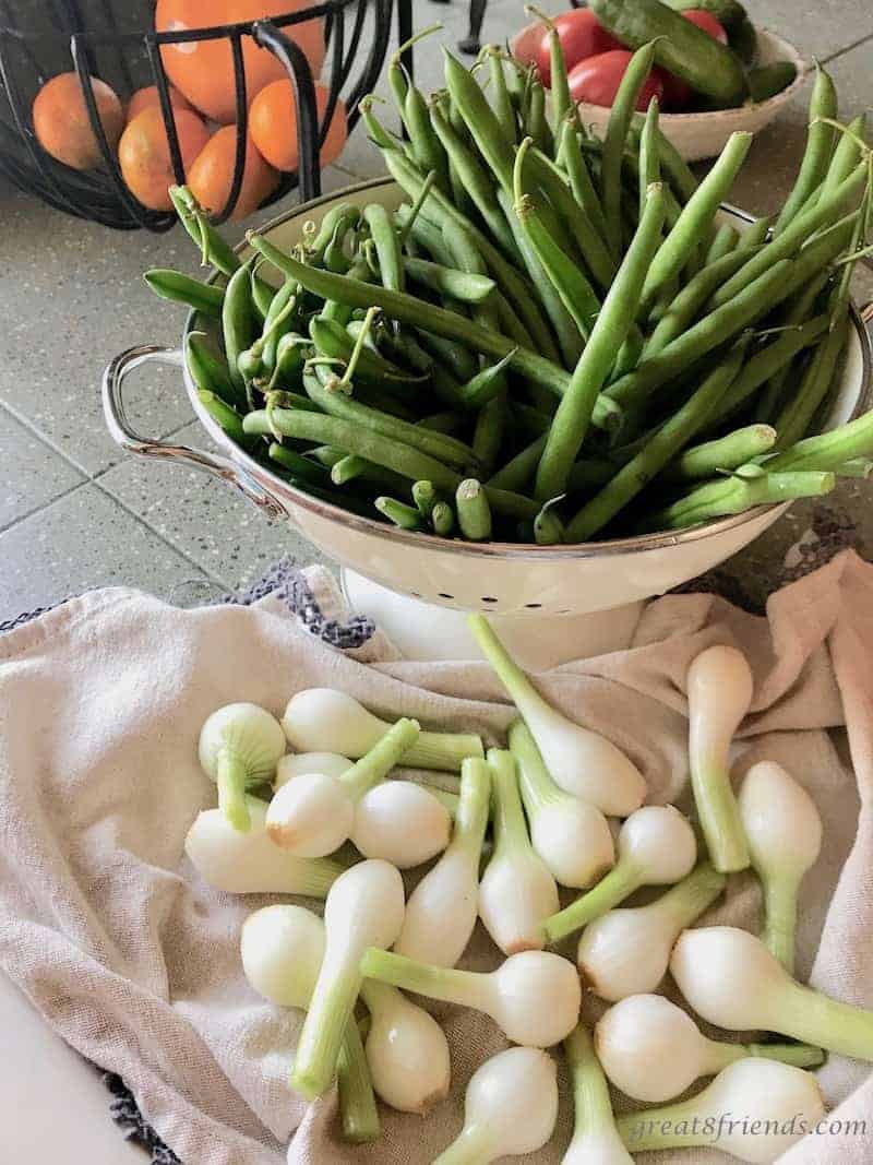Fresh green beans in a colander and fresh cleaned spring onions.