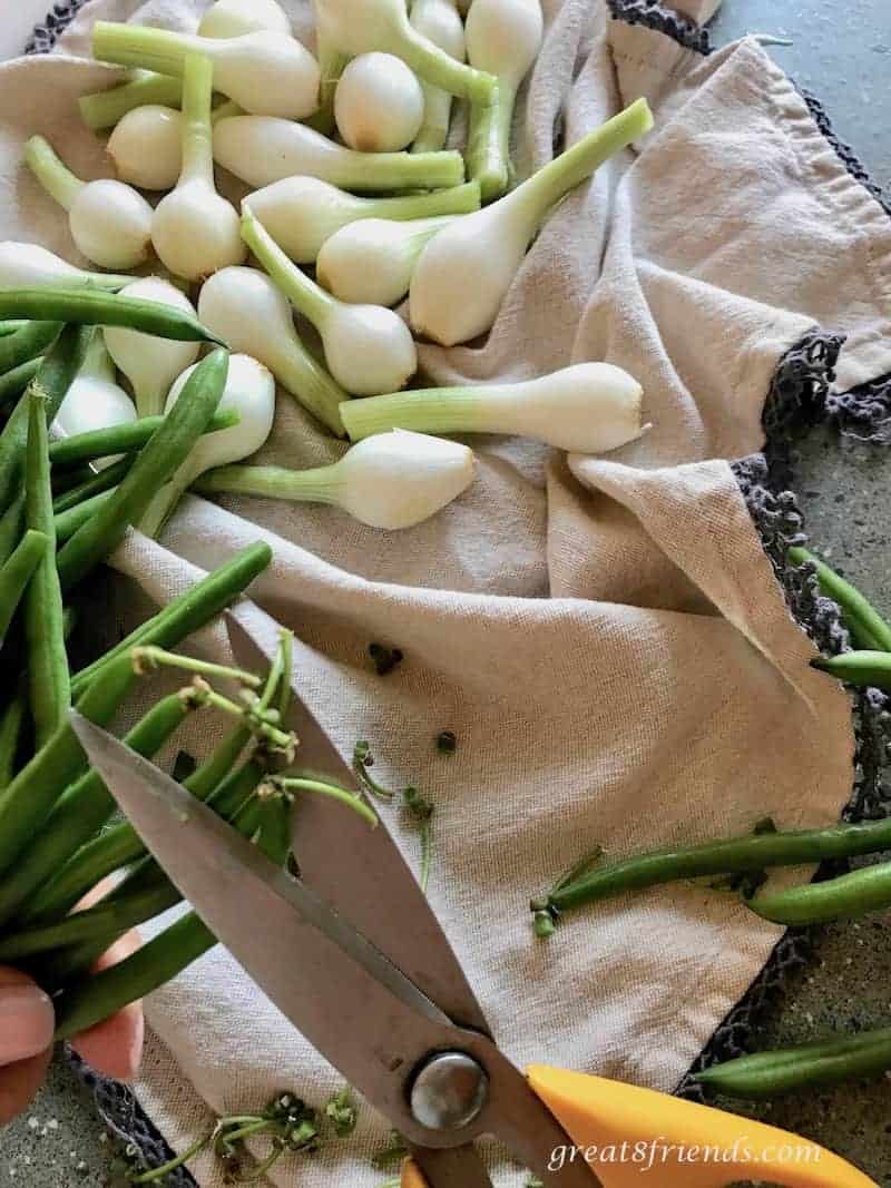 Snipping green beans with kitchen shears.