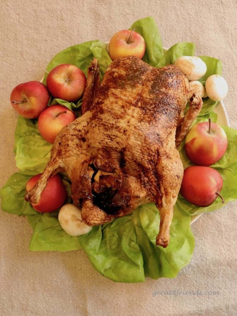 Roast Christmas Duck surrounded by apples.