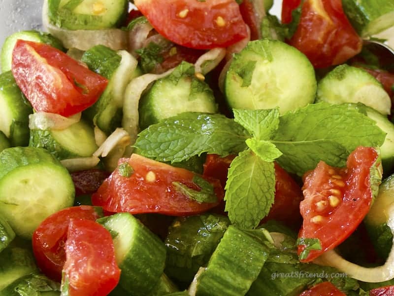 Close up of just the Minted Cucumber Tomato Salad.