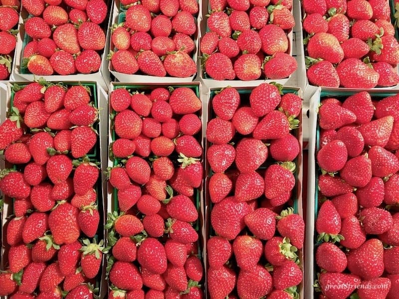 Fresh strawberries from a farm are the best and most fresh fruit to serve.