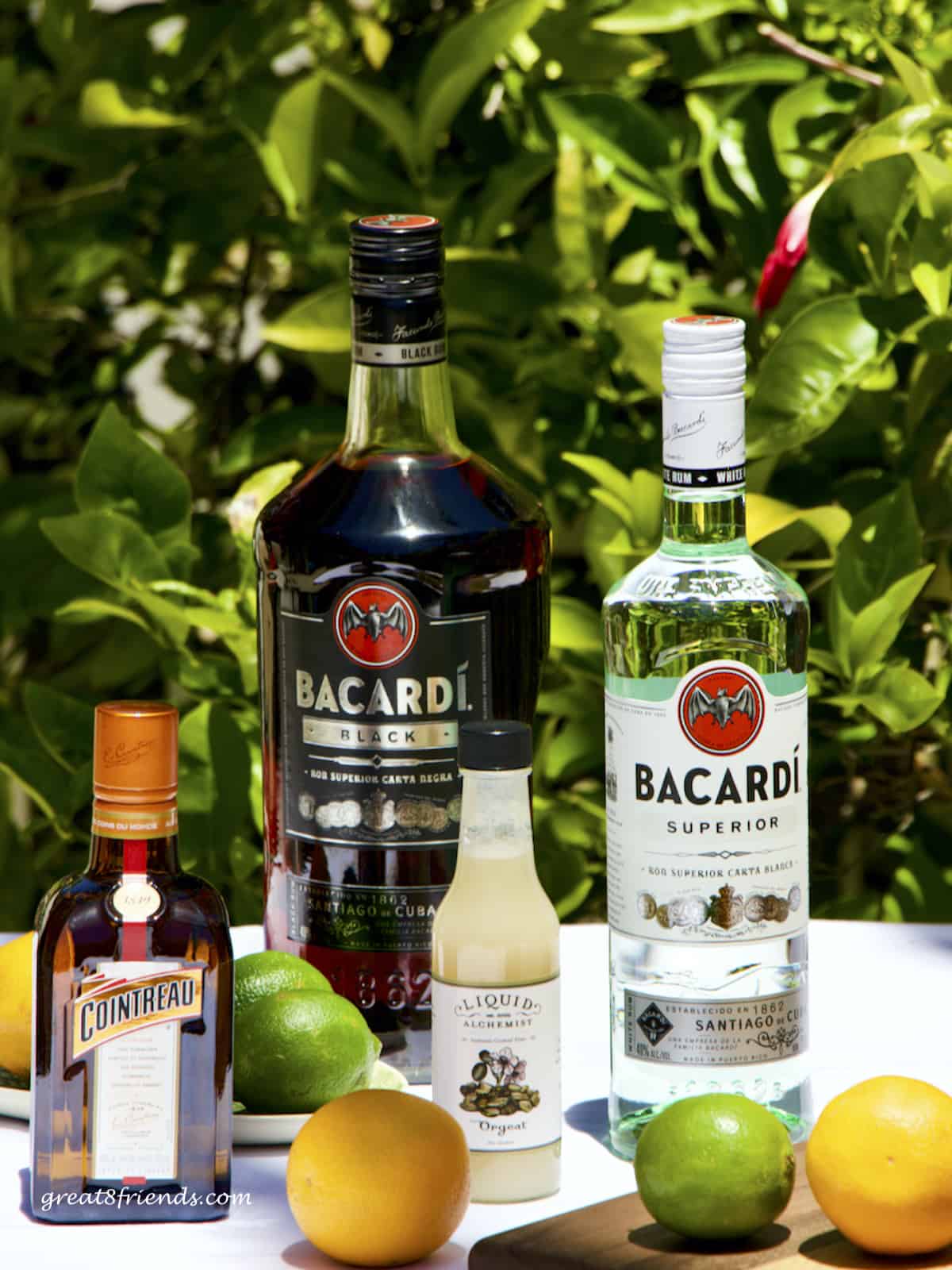 A bottle of Cointreau, Bacardi Black Rum, Orgeat and Bacardi silve rum against a backdrop of plants with some limes and oranges.
