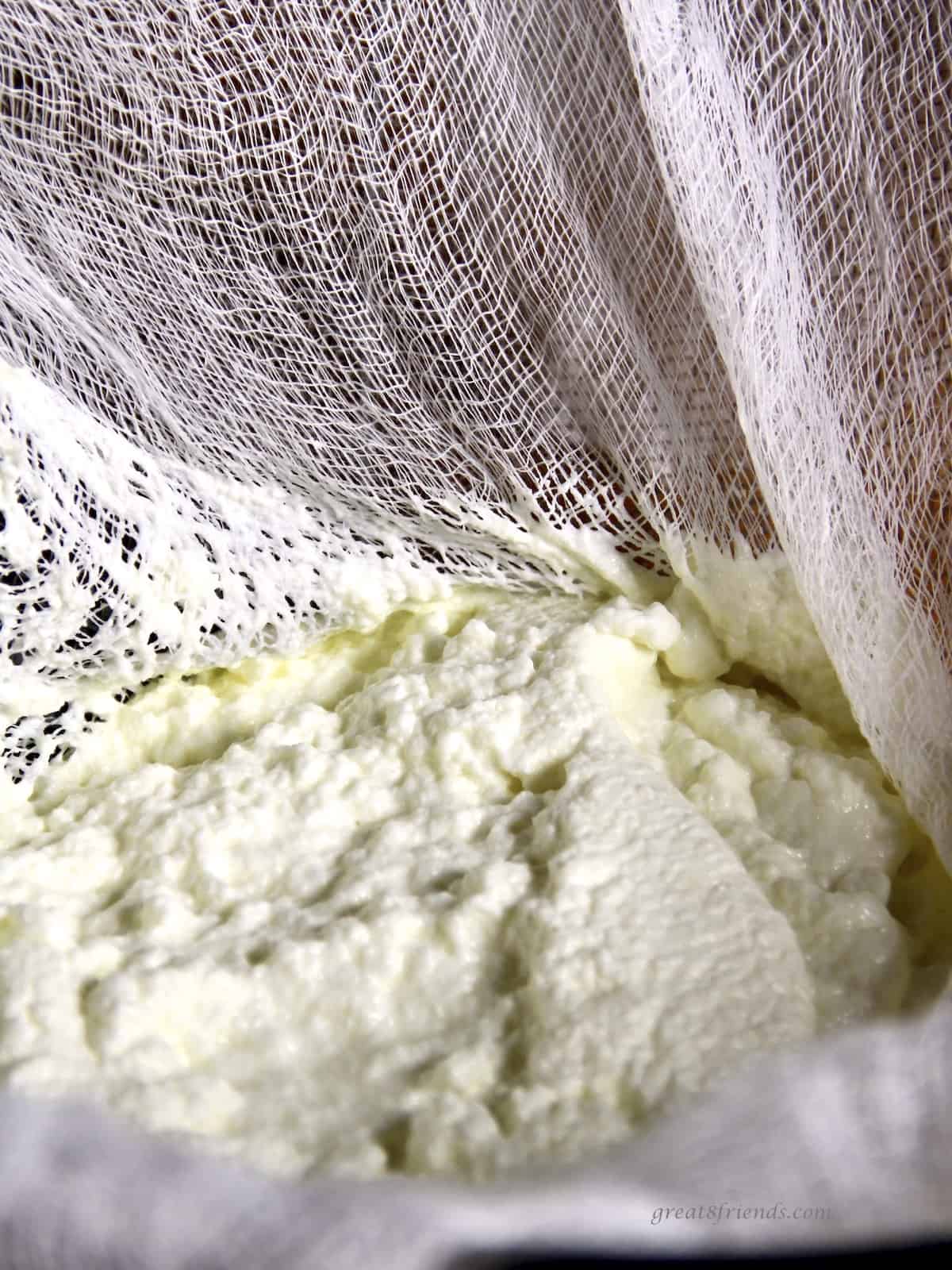 Ricotta cheese being strained in a cheesecloth.