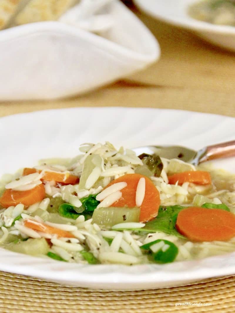 Chicken soup with orzo pasta and vegetables.