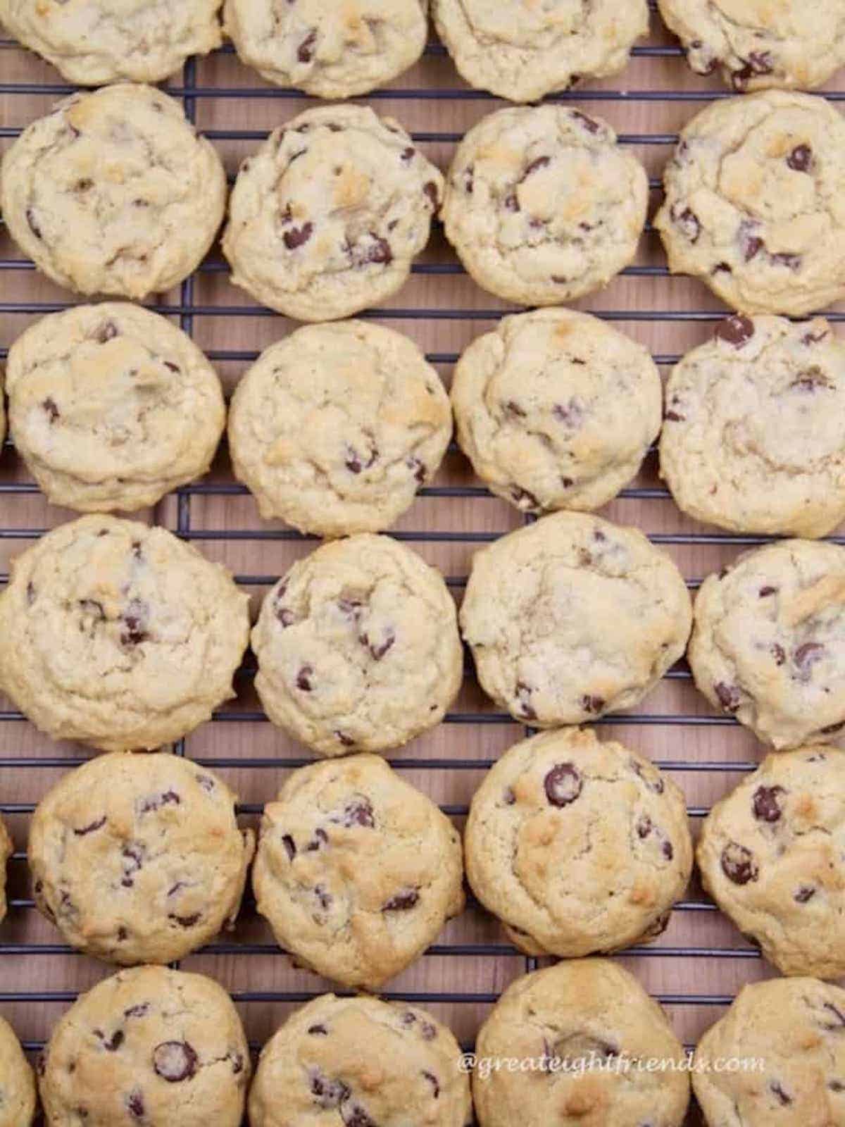 many chocolate chip cookies cooling on a cooling rack.