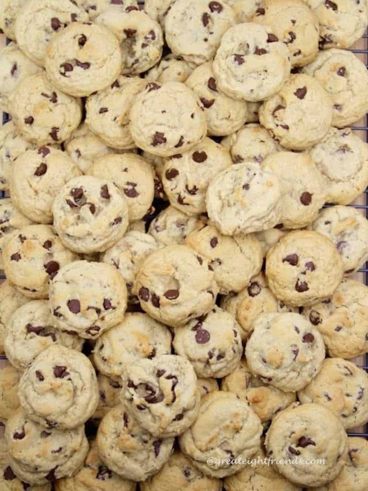 Dozens of homemade chocolate chip cookies in a big pile.